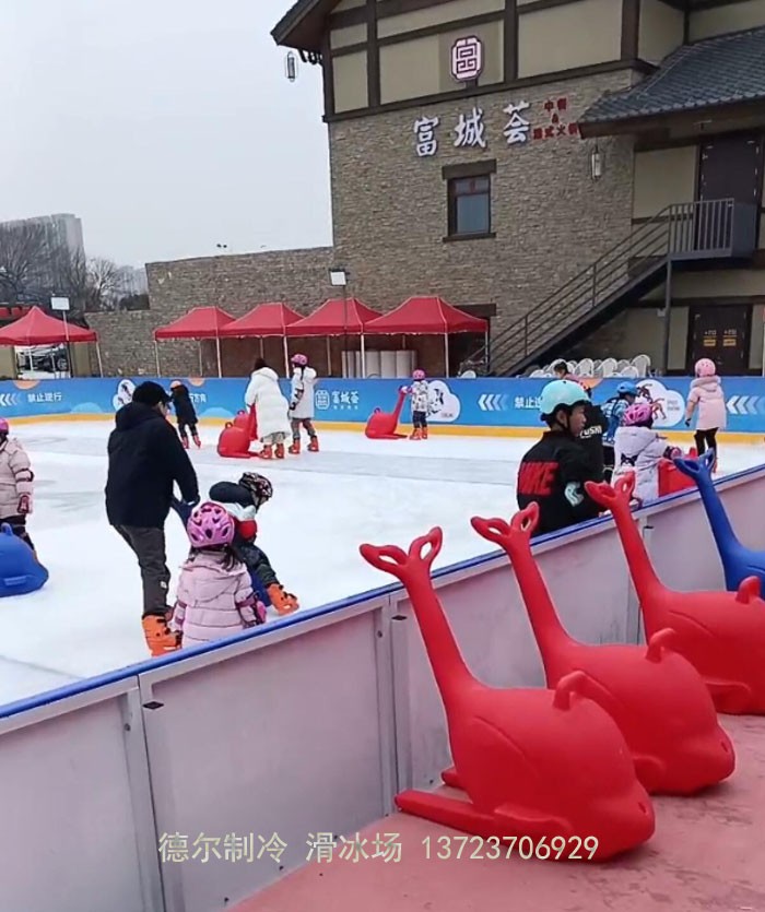 南京溧(lì)水冰場,德爾製冷建設